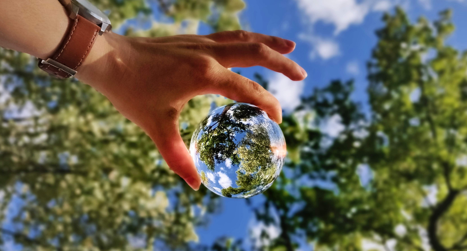 Comment Amavéo agit pour la planète ?