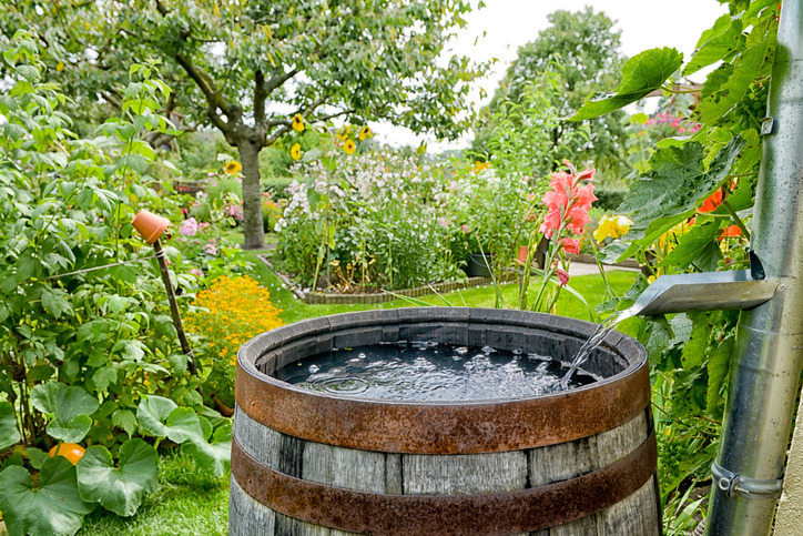 Pourquoi récupérer l’eau de pluie et comment la traiter ?